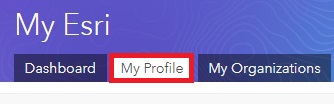Image of the My Profile tab