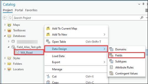 Selecting Fields from the Data Design options in the menu from the Catalog pane.