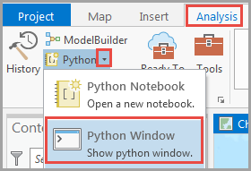 Image of the selected Python Window