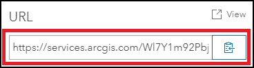 Image showing an item's REST endpoint URL.