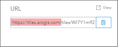 Image of the tile layer service URL