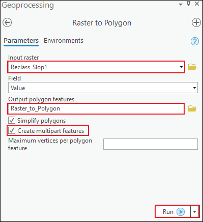 The image shows the Raster to Polygon window and its parameters.