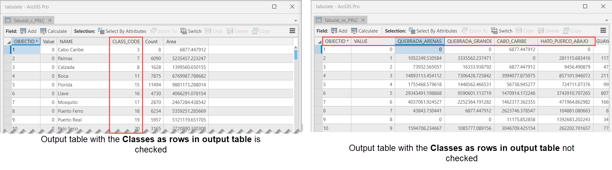 Comparison of the output tables when Class as rows in output table is checked on the left and unchecked on the right