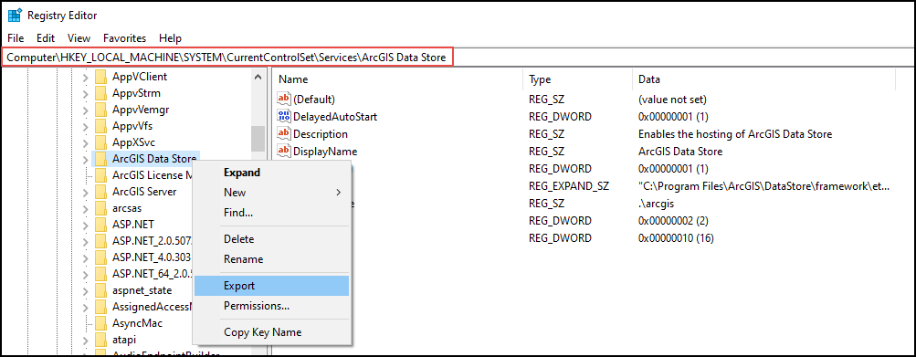 The Export selection of the Registry Editor window of ArcGIS Data Store