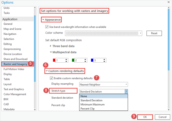 The Options window with the list of applications such as general, map and scene, editing, raster and imagery and geoprocessing.