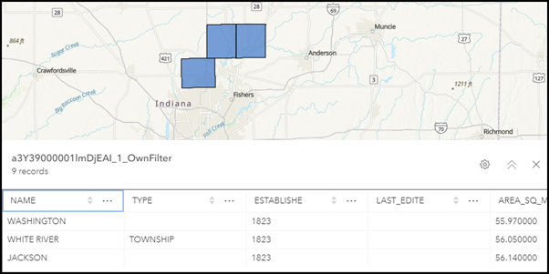 Fields are displayed correctly in ArcGIS Online