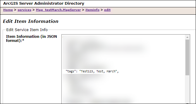 The Edit Service Item Info section and the tags property in the incorrect JSON format.