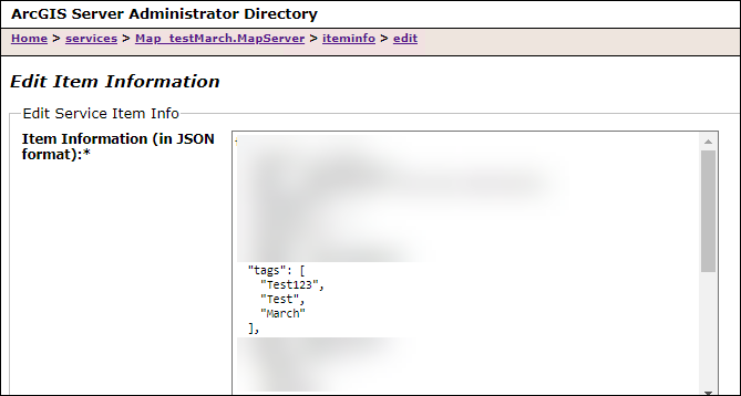 The Edit Service Item Info section and the tags property in the correct JSON format.