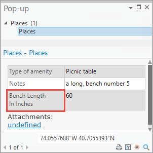 The Bench Length In Inches field in the customized pop-up