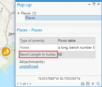 The Bench Length In Inches field in the standard pop-up