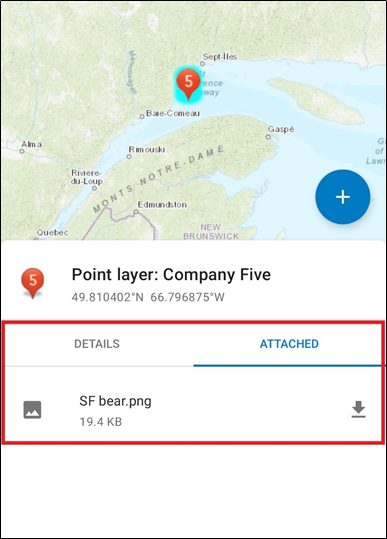The attachment displayed in the pop-up in ArcGIS Field Maps.