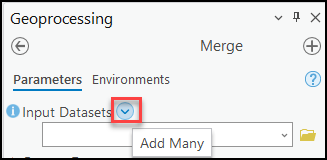 The Add Many drop-down button next to Input Datasets.