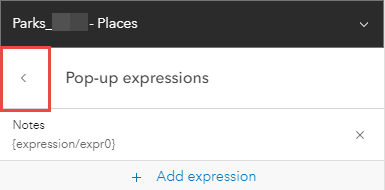 The Map Viewer Pop-up expressions pane with the newly added expression