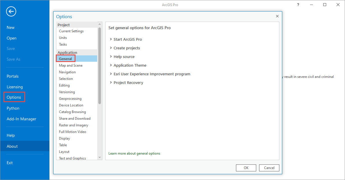 The Options dialog box with the Application pane open.