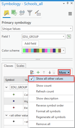 Unchecking Show all other values in the More drop-down menu in the Symbology pane