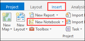 Add a new notebook to the ArcGIS Pro project by navigating to the Insert tab and in the Project group, select New Notebook.