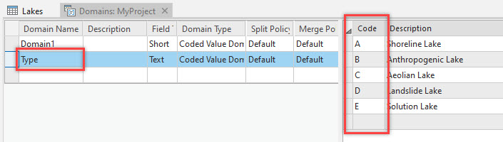 The Domains view with the Code value for the Type domain sorted in ascending order.