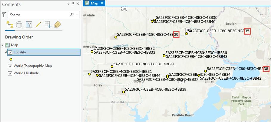 In ArcGIS Pro, the labels for the Locality feature layer displayed repeating values with two unique end characters.