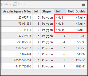 The join table in ArcGIS Pro with Null values in the fields.