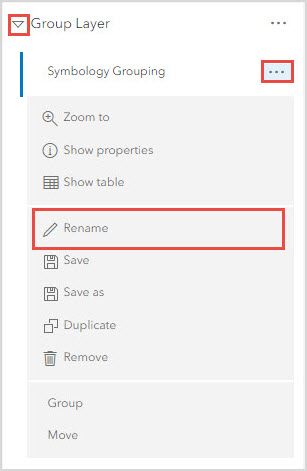 The Group Layer pane with the Rename option.