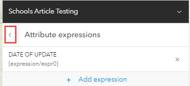 The Map Viewer Pop-up expressions pane with the newly added expression