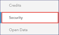 Security tab in Settings page