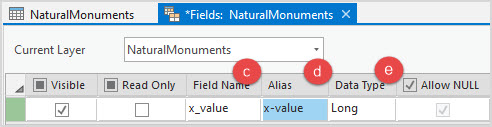 The Field name, Alias, and Data Type field in the attribute table.