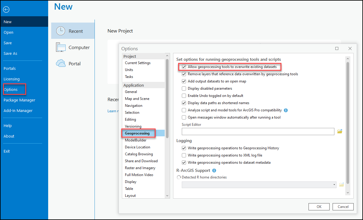 The ‘Allow geoprocessing tools to overwrite existing datasets’ option is checked under the 'Set options for running geoprocessing tools and script' section.