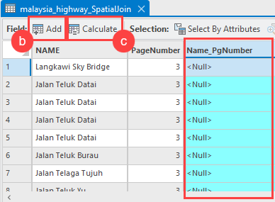 The new Name_PgNumber field displayed in the malaysia_highway spatial join attribute table.