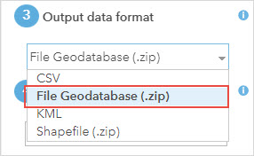 The File Geodatabase (.zip) option in the Output data format drop-down menu.