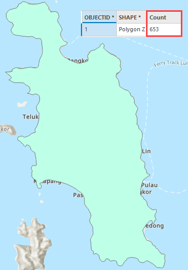 A polygon feature layer with attribute table displaying 653 vertices on ArcGIS Pro.