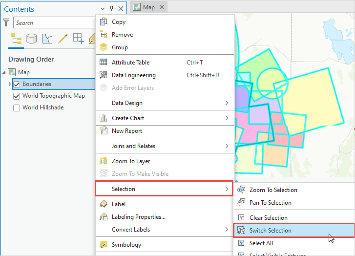 Selecting Switch Selection in the Contents pane.