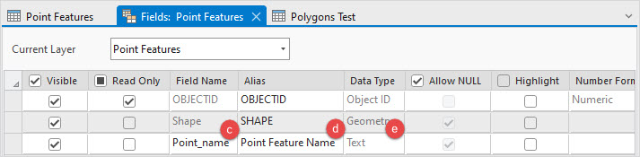 The attribute table of the point feature configured.