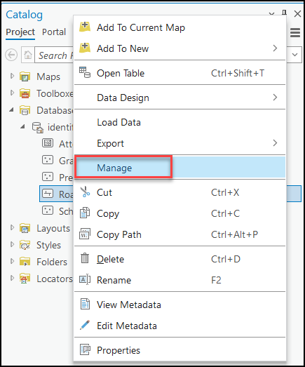 The image of the context menu of a feature class with the Manage option being selected.