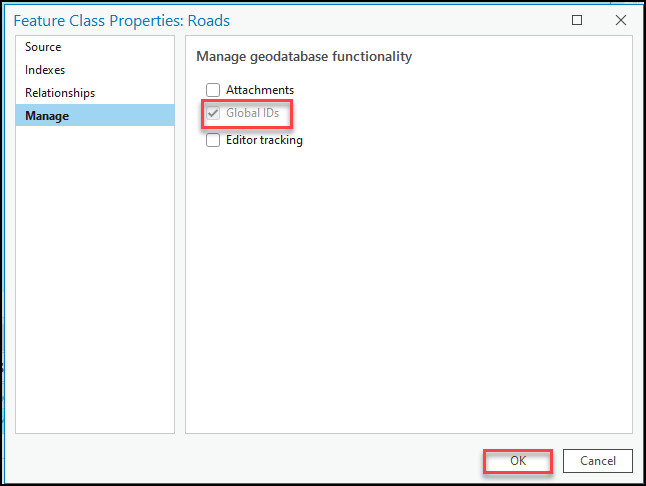 The image of the Feature Class Properties window with the Global IDs check box being checked.