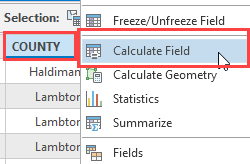 The COUNTY field with the Calculate Field option displayed.