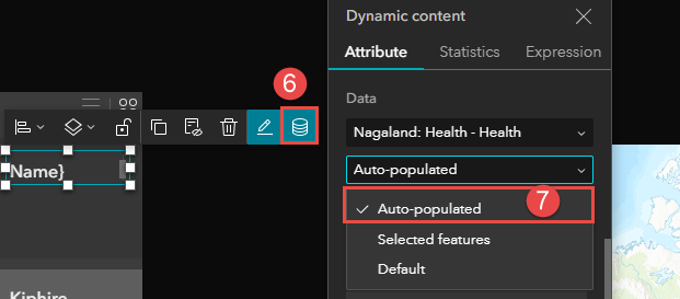 The Dynamic content button and the panel