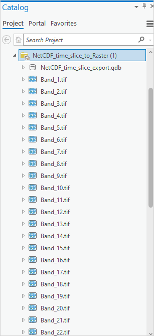 The Catalog pane in ArcGIS Pro.