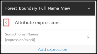 The Portal for ArcGIS Map Viewer Pop-up expressions pane with the Previous icon above the newly created expression