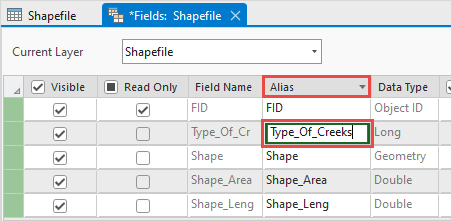 The field view of the attribute table.