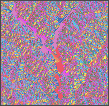 The output layer of the Flow Direction tool