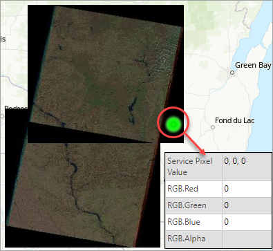 The mosaic dataset with black borders containing numeric pixel values.