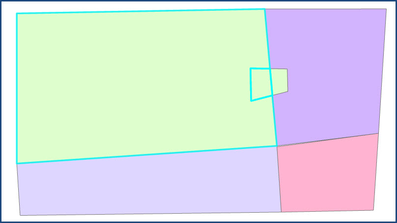 The newly filled polygon and the adjacent polygon selected.