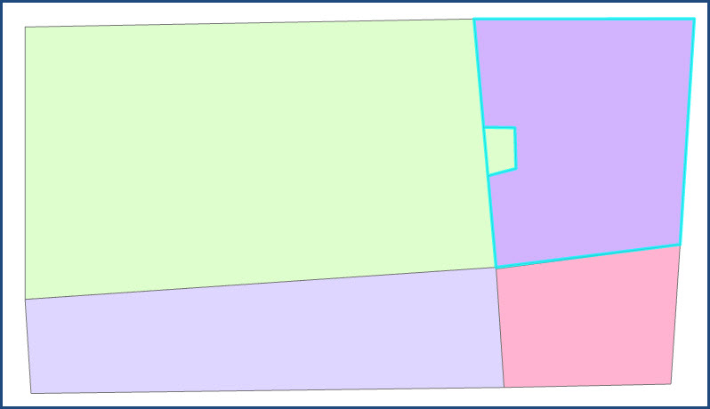 The newly filled polygon and the adjacent polygon selected.