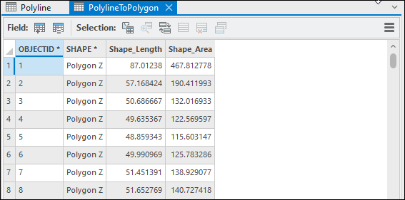 The polygon attribute table