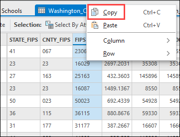 Selecting Copy after right-clicking the selected value in the table.