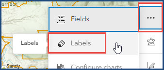 The More options icon on the Settings toolbar and the Labels option.