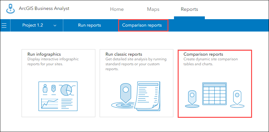 The Reports window