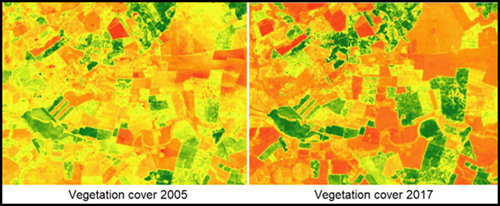 NDVI vegetation cover rasters for years 2005 and 2017