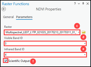 Configuring the Raster Functions pane parameters